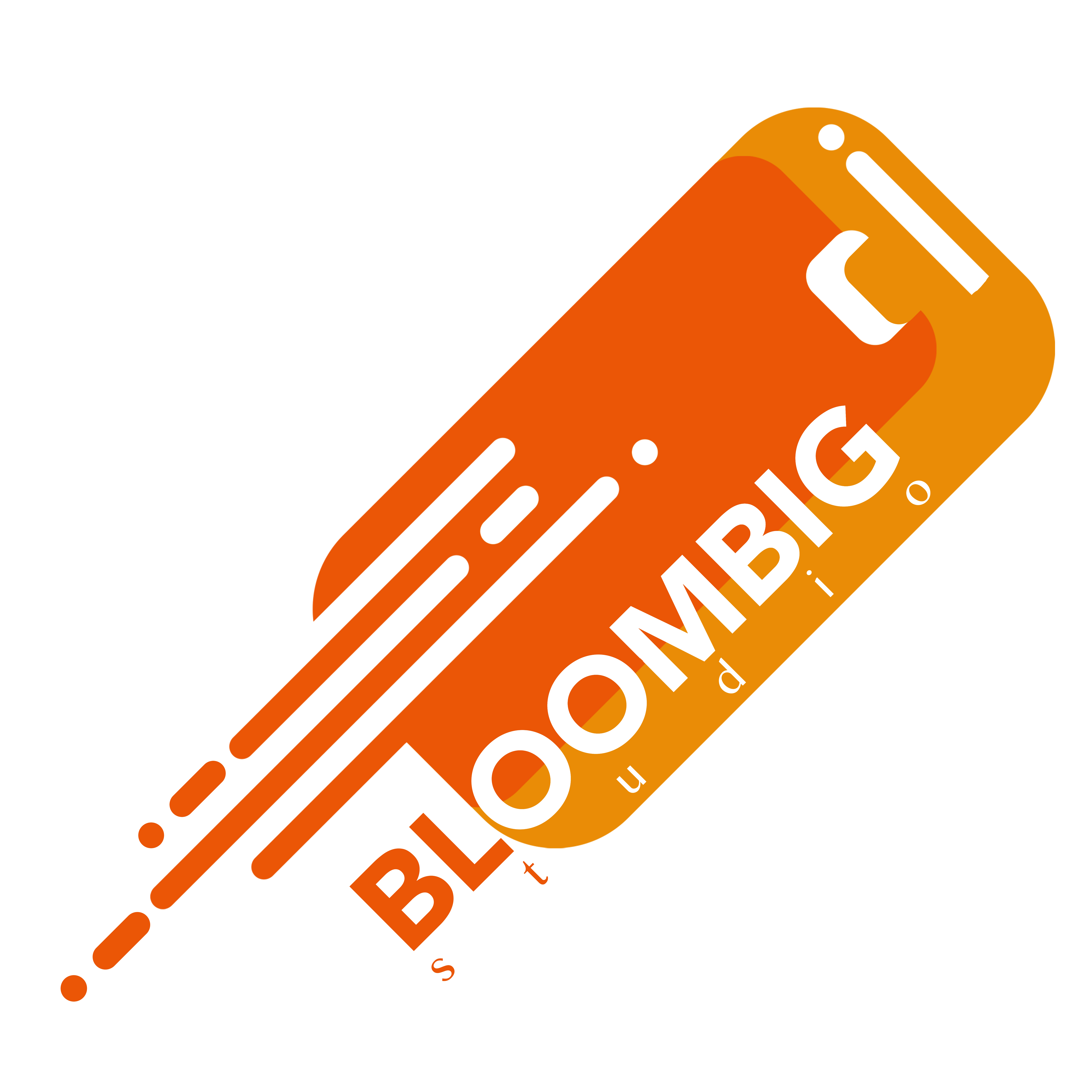 logo-bloombig1 (1)